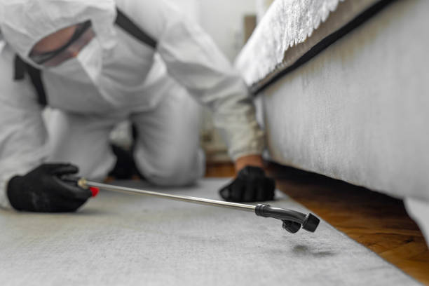 Professional Bed Bug Control technician working in Red Oak, IA