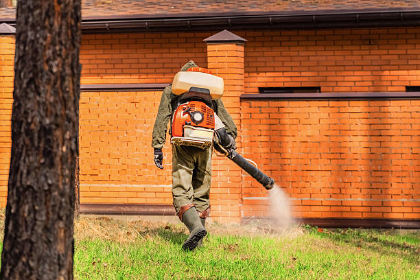Trusted Bed Bug Control service in Red Oak, IA - Nex Pest Control